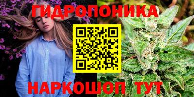 марки lsd Будённовск